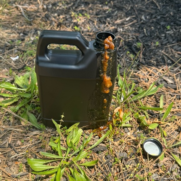 BATANA OIL RAW — 32 oz jug— Dr Sebi approved - Picture 3 of 13